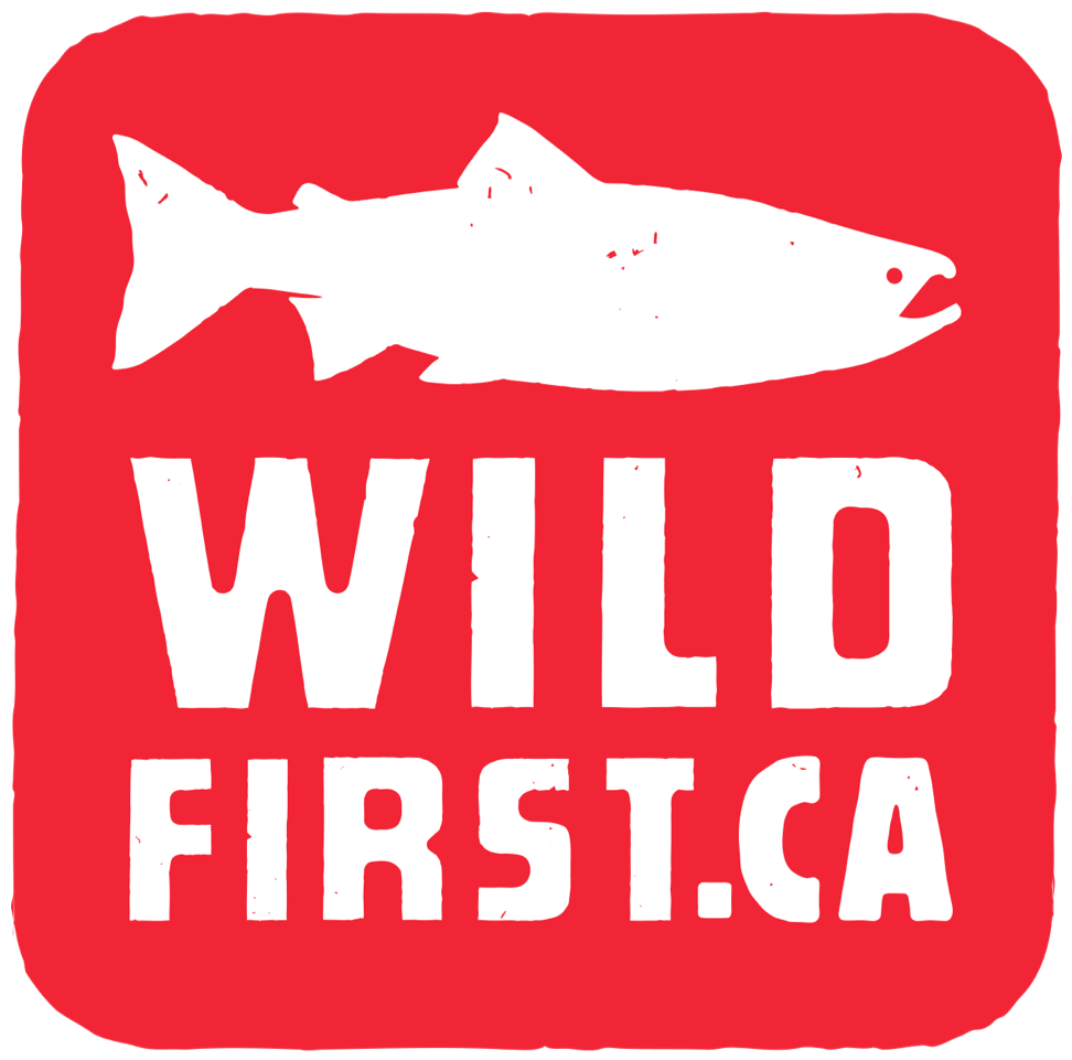 Wild First CA Logo