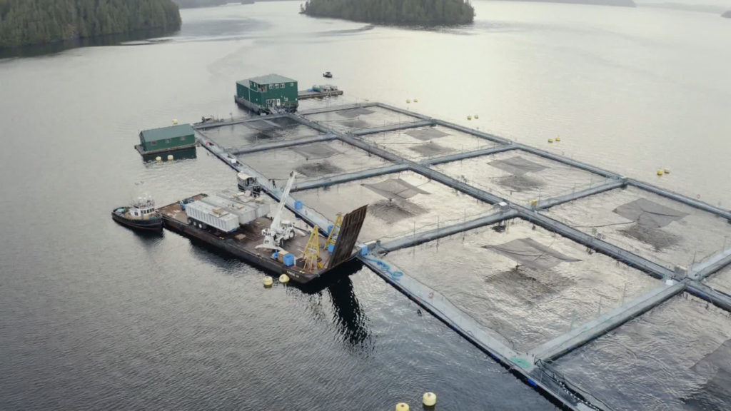 First Nations call on DFO not to renew Discovery Islands fish farm licences