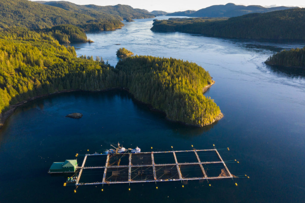 Sean Jones: A crisis of trust with the science from the federal Fisheries Department