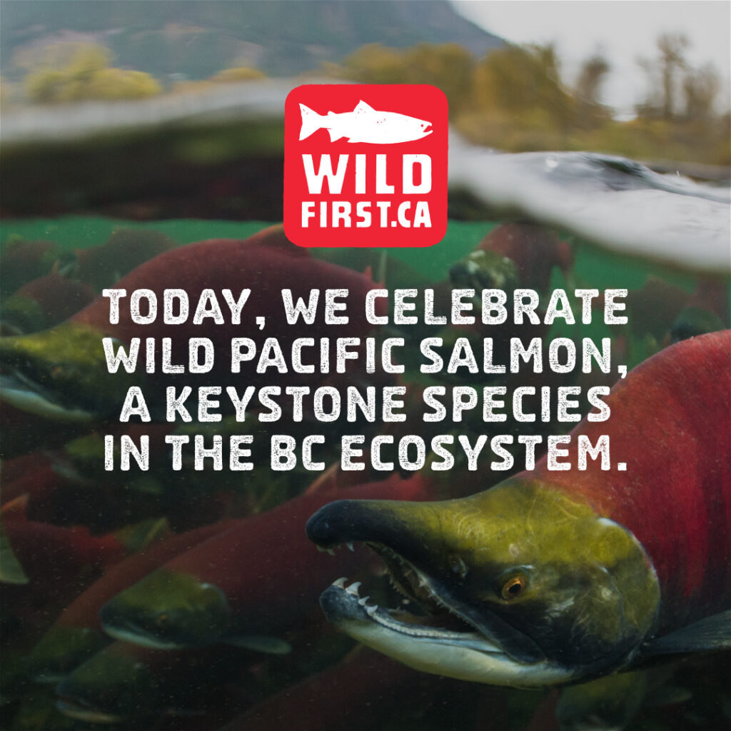 BC Wild Salmon Day 2023