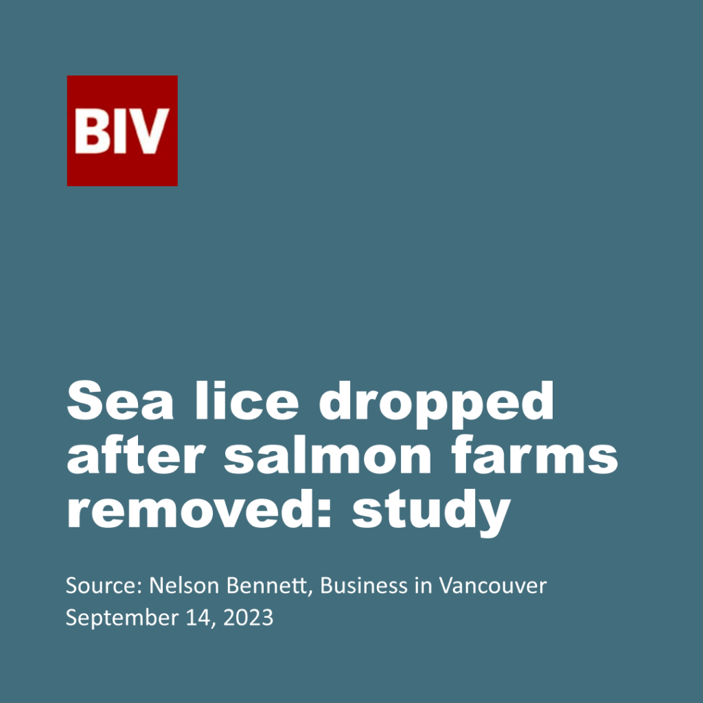 Sea lice dropped after salmon farms removed: study