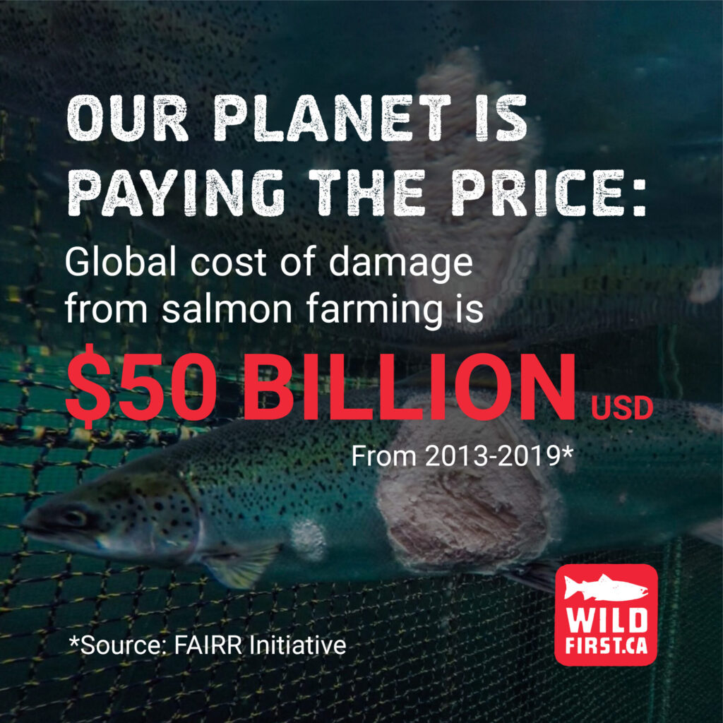 FAIRR Initiative: The Global Cost of Salmon Farming