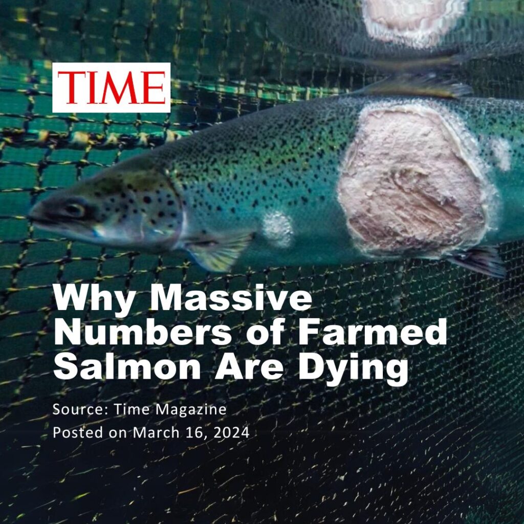 Time Magazine (March 16, 2024)