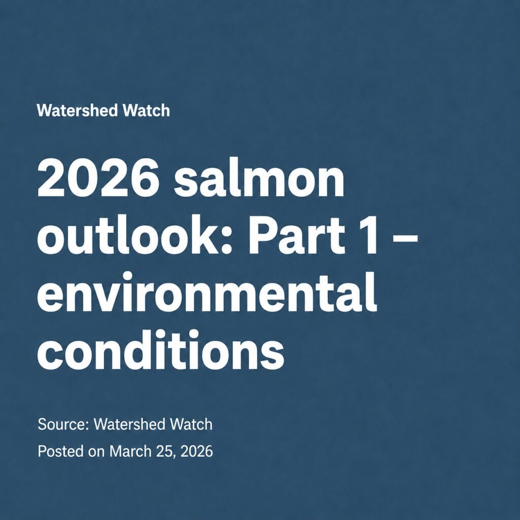 2026 salmon outlook: Part 1 - environmental conditions