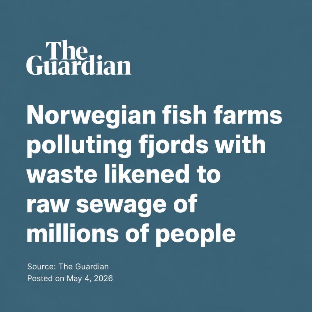 Norwegian fish farms polluting fjords with waste likened to raw sewage of millions of people
