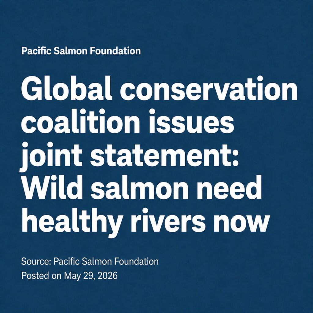 Global conservation coalition issues joint statement: Wild salmon need healthy rivers now