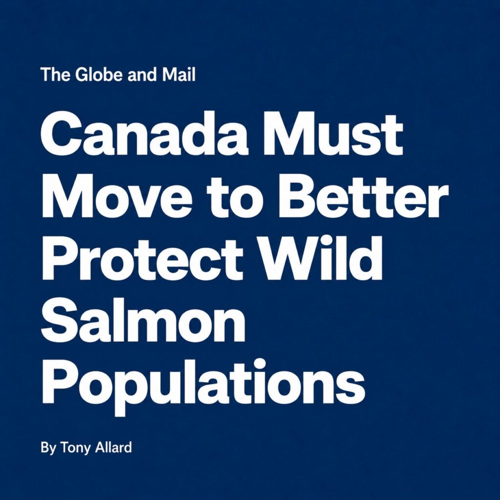 Canada Must Move to Better Protect Wild Salmon Populations